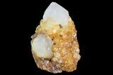 Sunshine Cactus Quartz Crystal Cluster - South Africa #80195-1